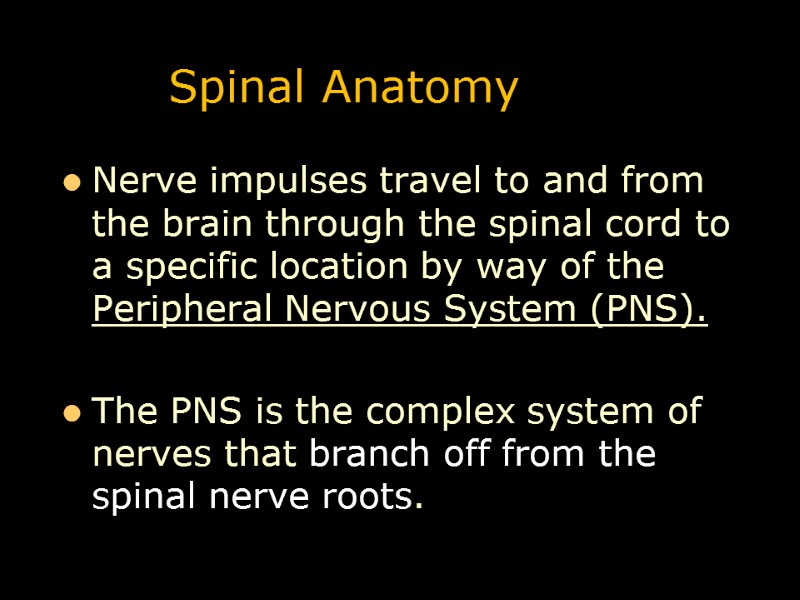 Spinal Anatomy Nerve impulses travel to and from the brain through the spinal cord